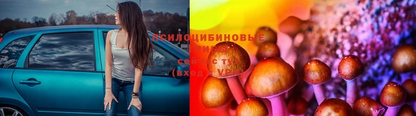первитин Алексин