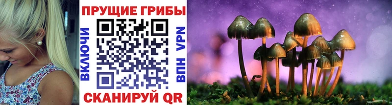 Псилоцибиновые грибы мухоморы kraken как войти Николаевск