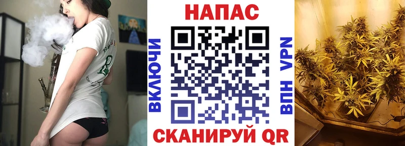 Каннабис план  Николаевск 